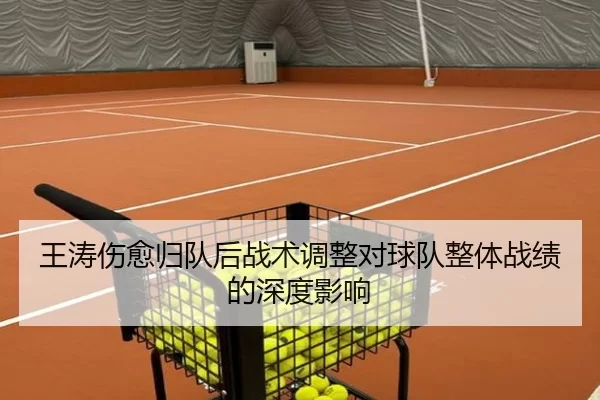 王涛伤愈归队后战术调整对球队整体战绩的深度影响