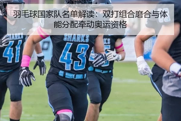 羽毛球国家队名单解读：双打组合磨合与体能分配牵动奥运资格